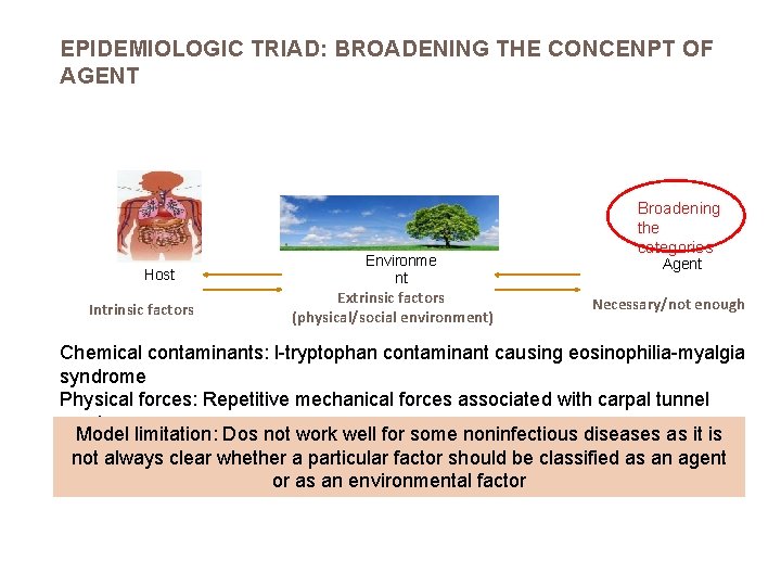 EPIDEMIOLOGIC TRIAD: BROADENING THE CONCENPT OF AGENT Host Intrinsic factors Environme nt Extrinsic factors