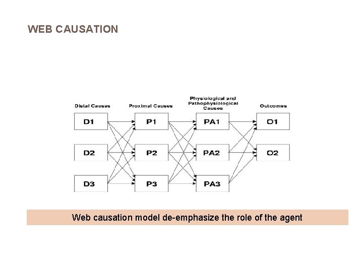 WEB CAUSATION Web causation model de-emphasize the role of the agent 