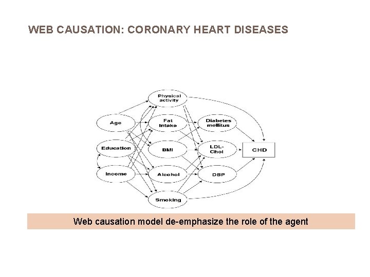 WEB CAUSATION: CORONARY HEART DISEASES Web causation model de-emphasize the role of the agent