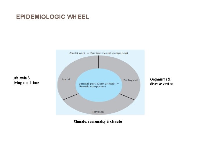 EPIDEMIOLOGIC WHEEL Life style & living conditions Organisms & disease vector Climate, seasonality &