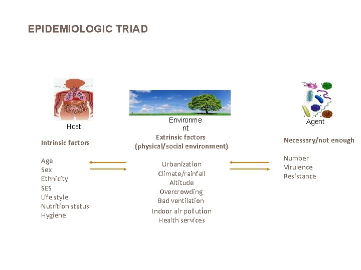 EPIDEMIOLOGIC TRIAD Host Intrinsic factors Age Sex Ethnicity SES Life style Nutrition status Hygiene