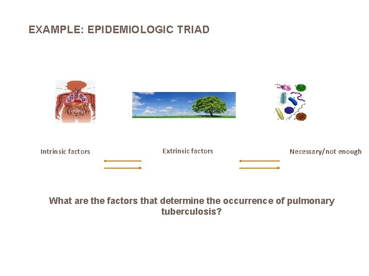 EXAMPLE: EPIDEMIOLOGIC TRIAD Intrinsic factors Extrinsic factors Necessary/not enough What are the factors that