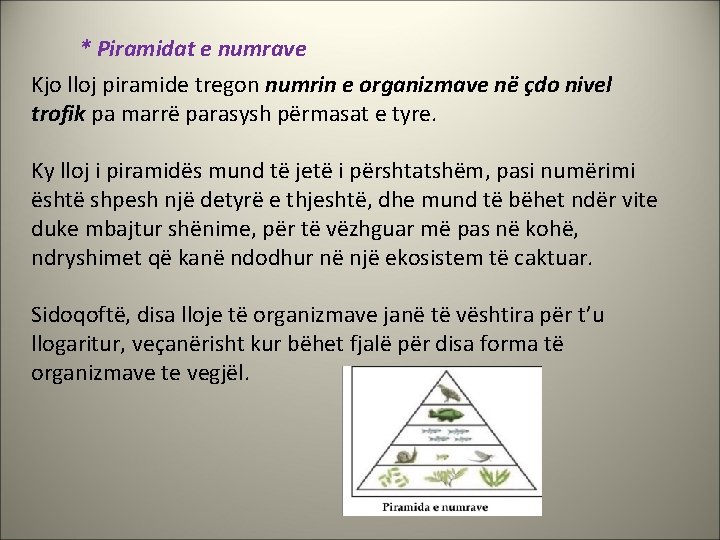 * Piramidat e numrave Kjo lloj piramide tregon numrin e organizmave në çdo nivel