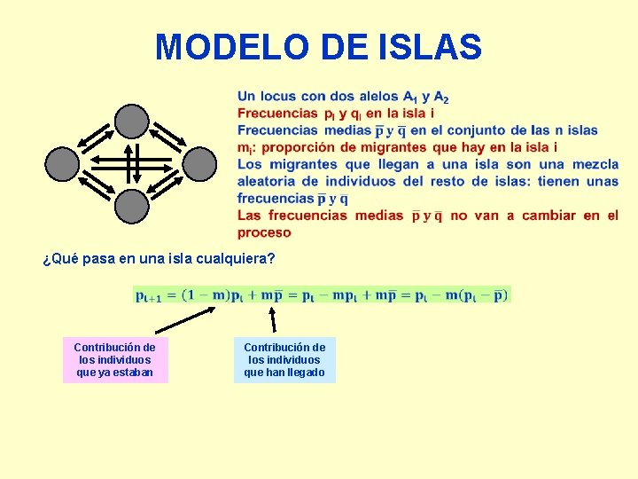 MODELO DE ISLAS ¿Qué pasa en una isla cualquiera? Contribución de los individuos que