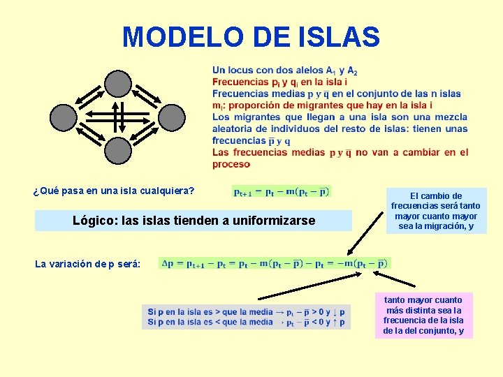 MODELO DE ISLAS ¿Qué pasa en una isla cualquiera? Lógico: las islas tienden a