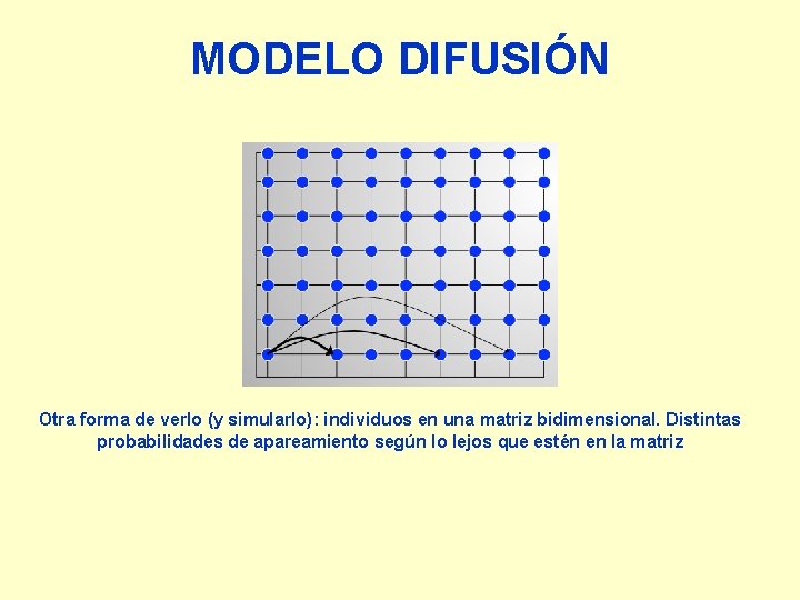 MODELO DIFUSIÓN Otra forma de verlo (y simularlo): individuos en una matriz bidimensional. Distintas