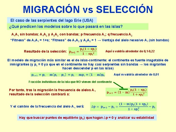 MIGRACIÓN vs SELECCIÓN El caso de las serpientes del lago Erie (USA) ¿Qué predicen