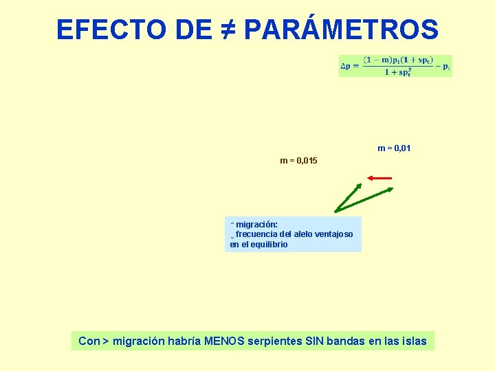 EFECTO DE ≠ PARÁMETROS m = 0, 015 ↑ migración: ↓ frecuencia del alelo