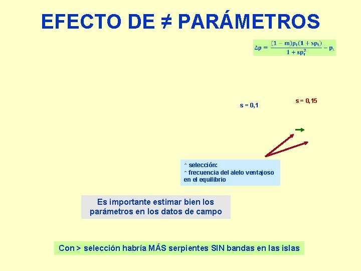 EFECTO DE ≠ PARÁMETROS s = 0, 15 ↑ selección: ↑ frecuencia del alelo