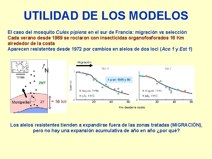 UTILIDAD DE LOS MODELOS El caso del mosquito Culex pipiens en el sur de