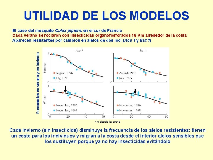 UTILIDAD DE LOS MODELOS Frecuencias en verano y en invierno El caso del mosquito