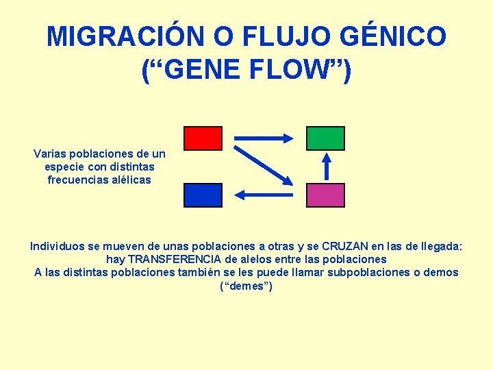 MIGRACIÓN O FLUJO GÉNICO (“GENE FLOW”) Varias poblaciones de un especie con distintas frecuencias