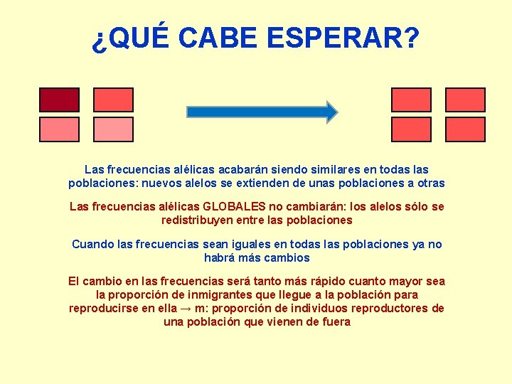¿QUÉ CABE ESPERAR? Las frecuencias alélicas acabarán siendo similares en todas las poblaciones: nuevos