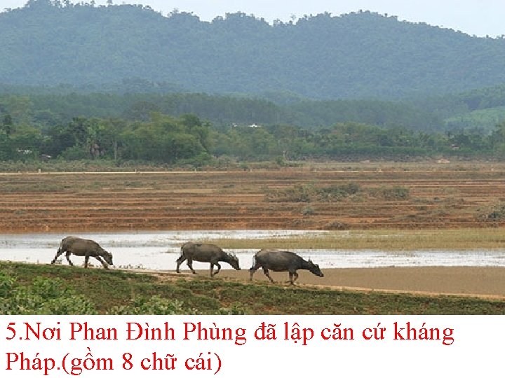 5. Nơi Phan Đình Phùng đã lập căn cứ kháng Pháp. (gồm 8 chữ