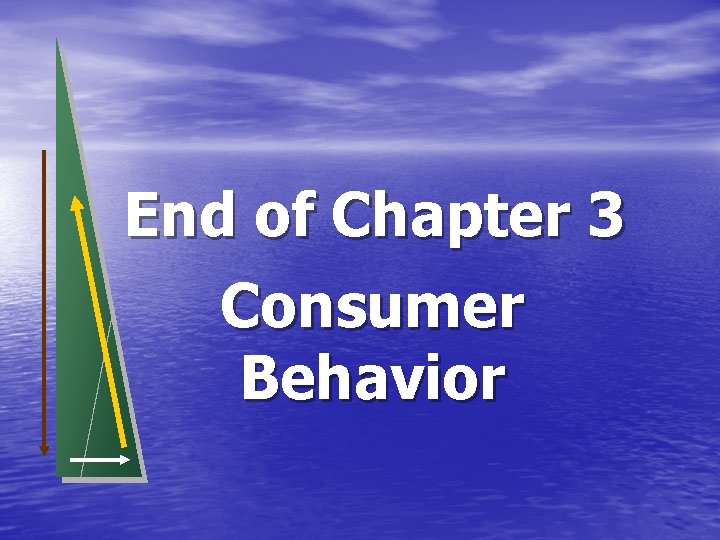 End of Chapter 3 Consumer Behavior 