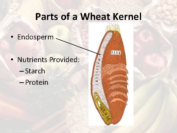 Parts of a Wheat Kernel • Endosperm • Nutrients Provided: – Starch – Protein