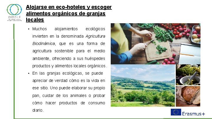Alojarse en eco-hoteles y escoger alimentos orgánicos de granjas locales • Muchos alojamientos ecológicos