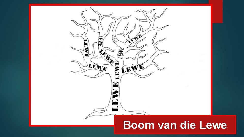 Boom van die Lewe 