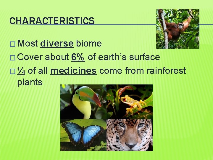 CHARACTERISTICS � Most diverse biome � Cover about 6% of earth’s surface � ¼