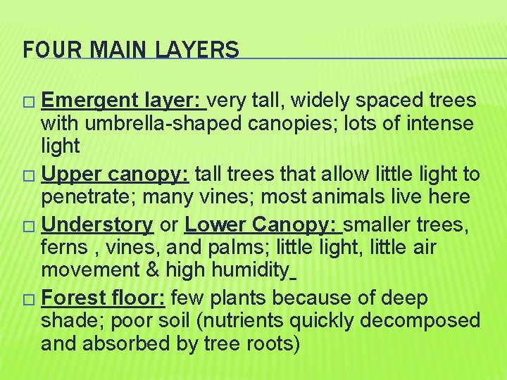 FOUR MAIN LAYERS � Emergent layer: very tall, widely spaced trees with umbrella-shaped canopies;