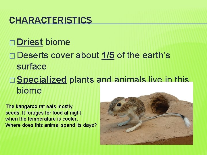 CHARACTERISTICS � Driest biome � Deserts cover about 1/5 of the earth’s surface �