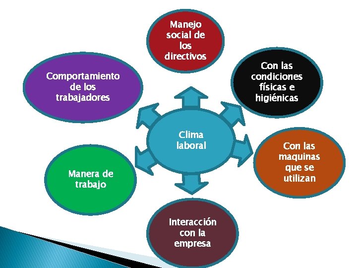 Manejo social de los directivos Comportamiento de los trabajadores Clima laboral Manera de trabajo