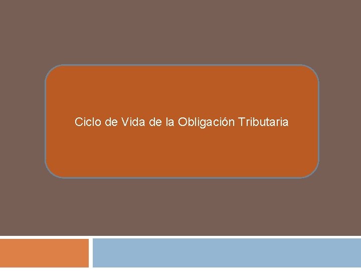 Ciclo de Vida de la Obligación Tributaria 