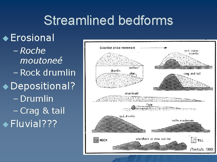 Streamlined bedforms u Erosional – Roche moutoneé – Rock drumlin u Depositional? – Drumlin