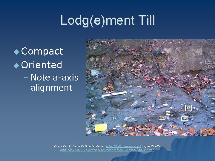 Lodg(e)ment Till u Compact u Oriented – Note a-axis alignment From Dr. T. Lowell’s
