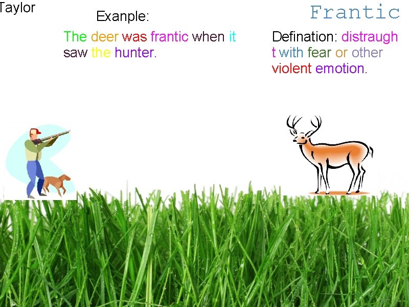 Taylor Exanple: The deer was frantic when it saw the hunter. Frantic Defination: distraugh