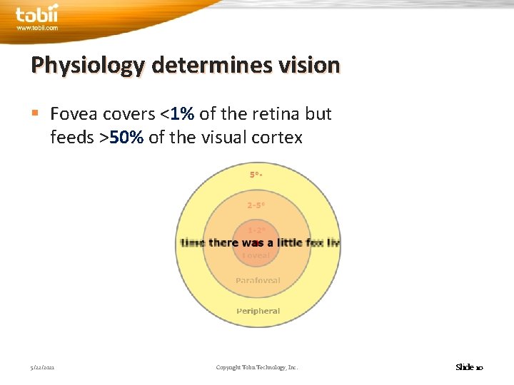 Physiology determines vision § Fovea covers <1% of the retina but feeds >50% of