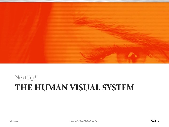 Next up! THE HUMAN VISUAL SYSTEM 5/22/2021 Copyright Tobii Technology, Inc. Slide 7 