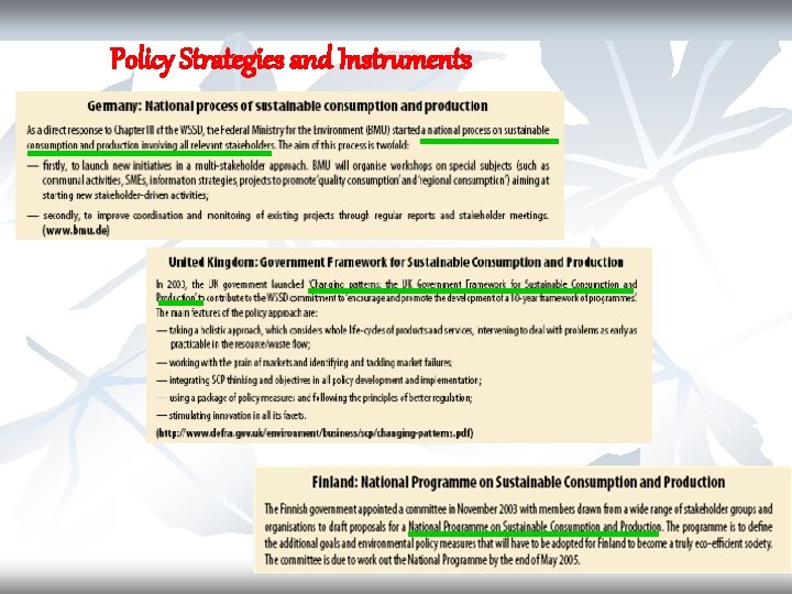 Policy Strategies and Instruments 