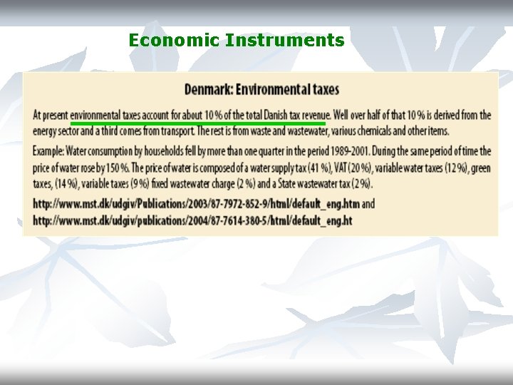 Economic Instruments 