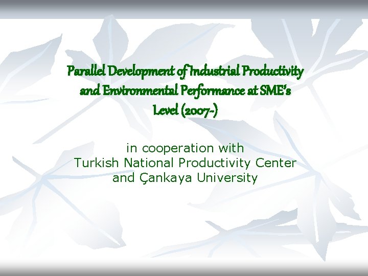 Parallel Development of Industrial Productivity and Environmental Performance at SME’s Level (2007 -) in
