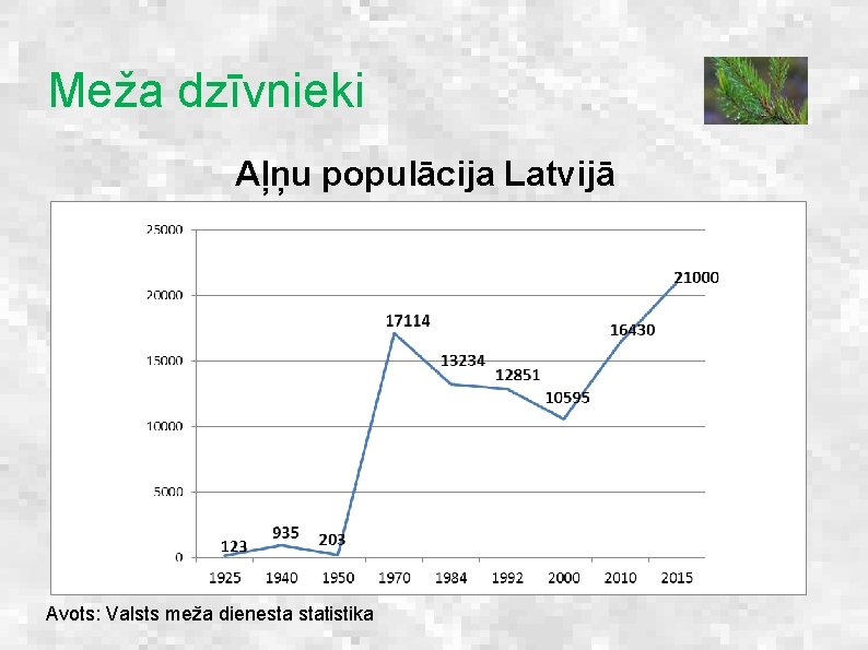 Meža dzīvnieki Aļņu populācija Latvijā Avots: Valsts meža dienesta statistika 