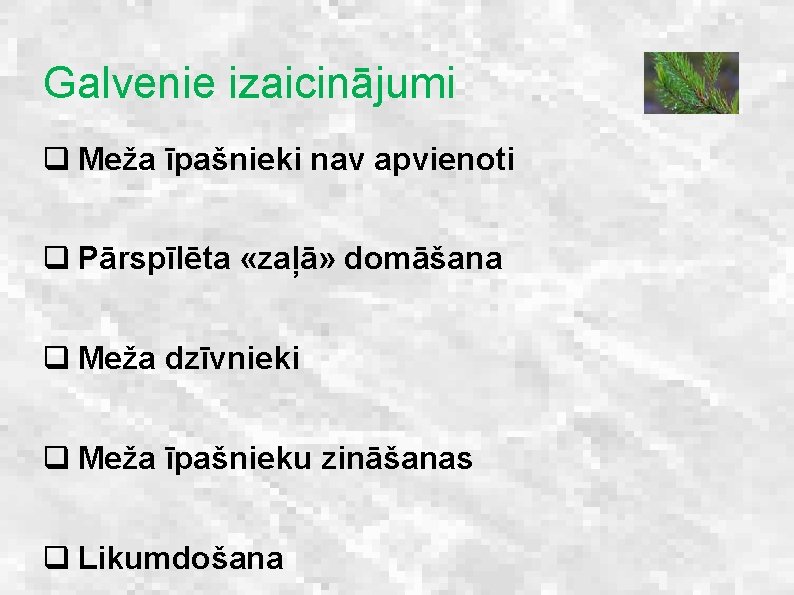 Galvenie izaicinājumi q Meža īpašnieki nav apvienoti q Pārspīlēta «zaļā» domāšana q Meža dzīvnieki