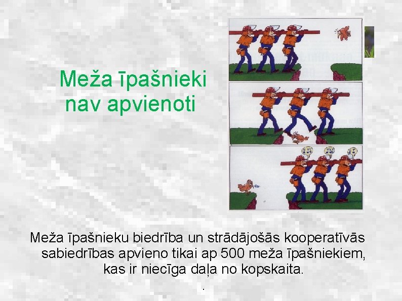 Meža īpašnieki nav apvienoti Meža īpašnieku biedrība un strādājošās kooperatīvās sabiedrības apvieno tikai ap