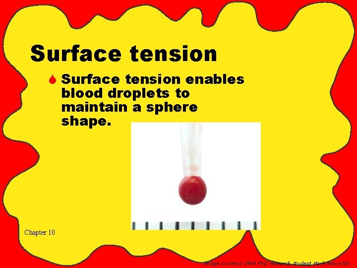 Surface tension S Surface tension enables blood droplets to maintain a sphere shape. Chapter