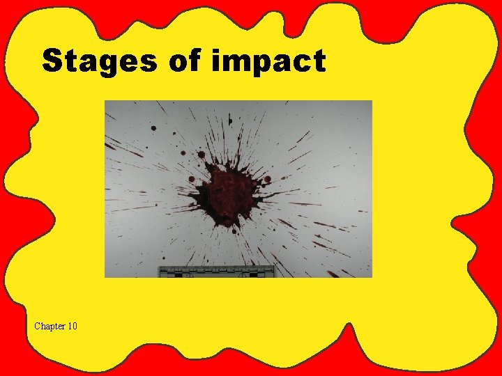 Stages of impact Chapter 10 
