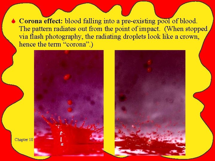 S Corona effect: blood falling into a pre-existing pool of blood. The pattern radiates