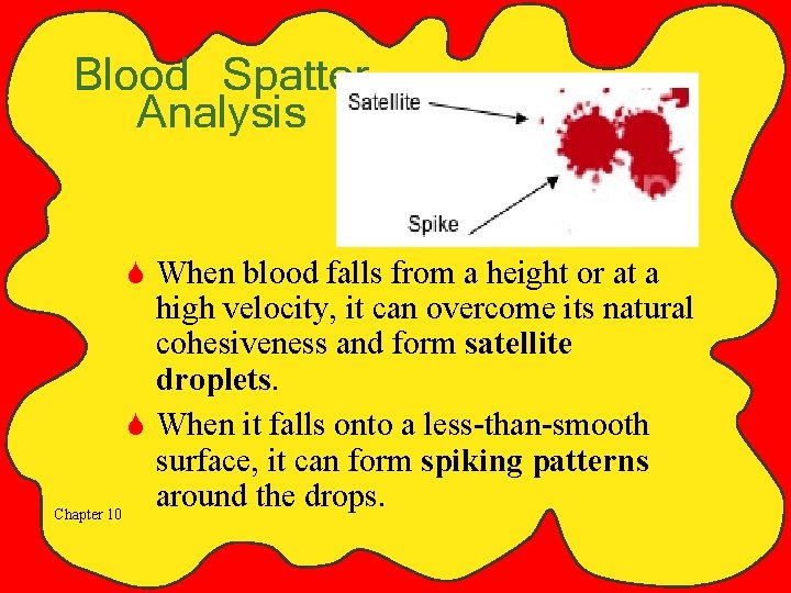 Blood Spatter Analysis S When blood falls from a height or at a high