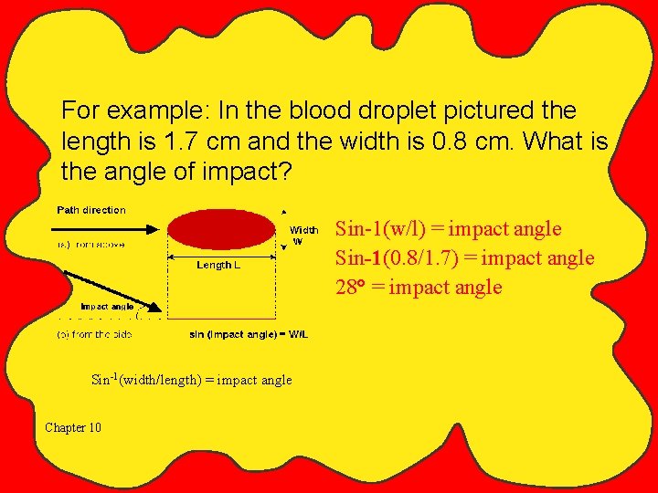 For example: In the blood droplet pictured the length is 1. 7 cm and