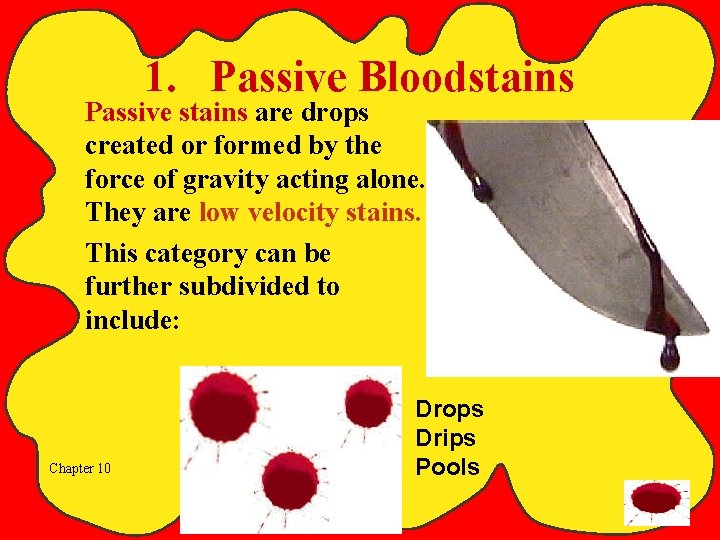 1. Passive Bloodstains Passive stains are drops created or formed by the force of