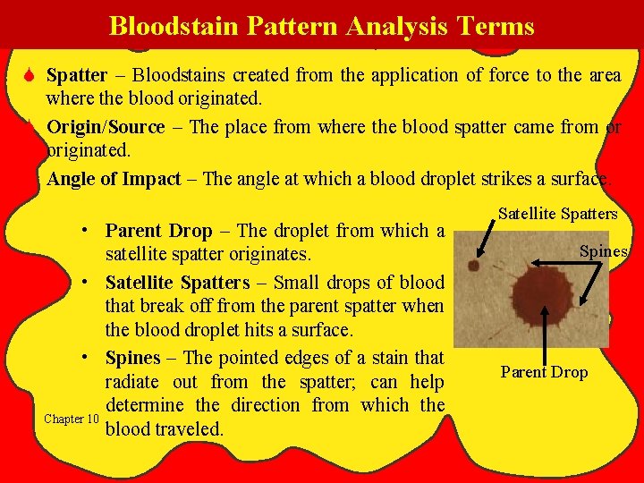 Bloodstain Pattern Analysis Terms S Spatter – Bloodstains created from the application of force