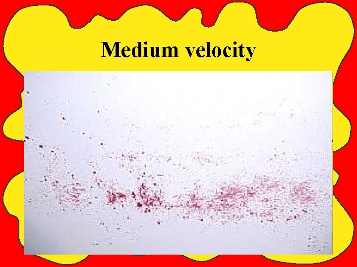 Medium velocity Chapter 10 