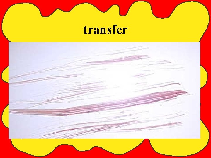 transfer Chapter 10 