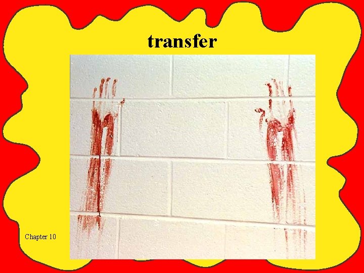 transfer Chapter 10 
