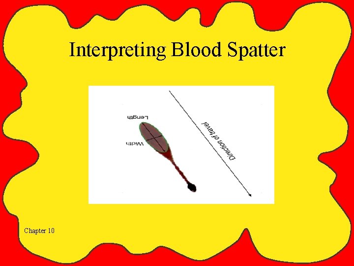 Interpreting Blood Spatter Chapter 10 