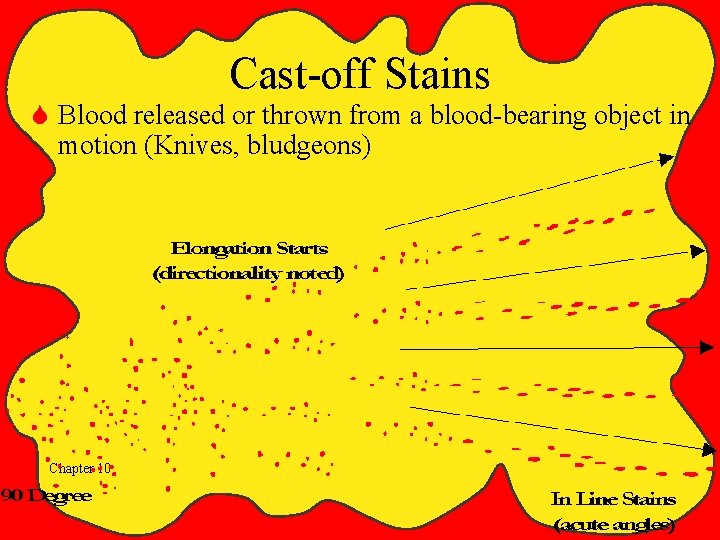 Cast-off Stains S Blood released or thrown from a blood-bearing object in motion (Knives,